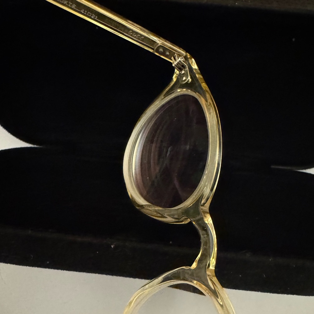 Garrett Leight Transparent Gold Frames - image 4